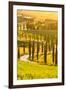 Baccoleno farmhouse in Asciano, Tuscany, Italy-Michele Rossetti-Framed Photographic Print