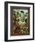 Baccus-Kate Ward Thacker-Framed Giclee Print