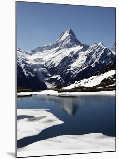 Bachalpsee at Grindelwald-First and Bernese Alps, Bernese Oberland, Swiss Alps, Switzerland, Europe-Hans Peter Merten-Mounted Photographic Print