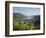 Bacharach, Rhine Valley, Germany, Europe-Hans Peter Merten-Framed Photographic Print