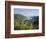 Bacharach, Rhine Valley, Germany, Europe-Hans Peter Merten-Framed Photographic Print