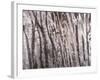 Back And Forth Trees-Jodi Maas-Framed Giclee Print
