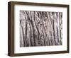 Back And Forth Trees-Jodi Maas-Framed Giclee Print