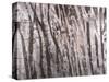 Back And Forth Trees-Jodi Maas-Stretched Canvas