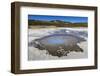 Back Basin, Norris Geyser Basin, Yellowstone National Park, Wyoming, Usa-Eleanor Scriven-Framed Photographic Print