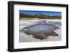 Back Basin, Norris Geyser Basin, Yellowstone National Park, Wyoming, Usa-Eleanor Scriven-Framed Photographic Print