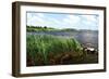 Back Bay III-Alan Hausenflock-Framed Photographic Print