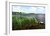 Back Bay III-Alan Hausenflock-Framed Photographic Print