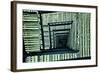 Back Building Stairwell NYC-null-Framed Photo