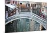 Back Canal and Vibrant Buildings.-Terry Eggers-Mounted Photographic Print