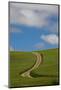 Back Country Road Through Spring Wheat Field-Terry Eggers-Mounted Photographic Print