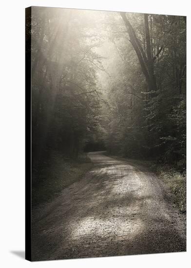 Back Country Road-Nicholas Bell-Stretched Canvas