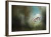 Back Down the Hill-Jai Johnson-Framed Giclee Print