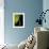 Back Drop 1-Doug Chinnery-Framed Photographic Print displayed on a wall