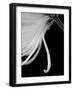 Back Drop 2-Doug Chinnery-Framed Photographic Print