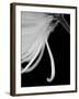 Back Drop 2-Doug Chinnery-Framed Photographic Print