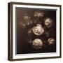 Back from Where I Started-Philippe Sainte-Laudy-Framed Photographic Print