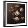 Back from Where I Started-Philippe Sainte-Laudy-Framed Photographic Print