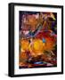 Back In The Saddle Again-Ruth Palmer-Framed Art Print