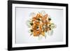 Back Lit Flower Petals-null-Framed Photographic Print