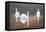 Back Lit Swans-Bruce Dumas-Framed Stretched Canvas