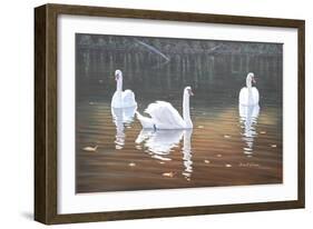 Back Lit Swans-Bruce Dumas-Framed Giclee Print