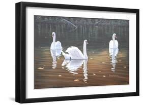 Back Lit Swans-Bruce Dumas-Framed Giclee Print