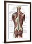 Back Muscles-Science Source-Framed Giclee Print