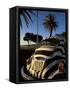 Back of a Beetle Car Painted in Zebra Stripes, Cape Town, South Africa, Africa-Yadid Levy-Framed Stretched Canvas