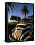 Back of a Beetle Car Painted in Zebra Stripes, Cape Town, South Africa, Africa-Yadid Levy-Framed Stretched Canvas