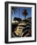 Back of a Beetle Car Painted in Zebra Stripes, Cape Town, South Africa, Africa-Yadid Levy-Framed Photographic Print