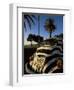 Back of a Beetle Car Painted in Zebra Stripes, Cape Town, South Africa, Africa-Yadid Levy-Framed Photographic Print