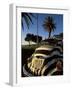 Back of a Beetle Car Painted in Zebra Stripes, Cape Town, South Africa, Africa-Yadid Levy-Framed Photographic Print