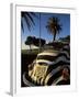 Back of a Beetle Car Painted in Zebra Stripes, Cape Town, South Africa, Africa-Yadid Levy-Framed Photographic Print