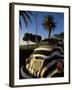 Back of a Beetle Car Painted in Zebra Stripes, Cape Town, South Africa, Africa-Yadid Levy-Framed Photographic Print