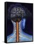 Back of Brain and Spinal Cord with Head in Dark Cloud Indicating Depression-null-Framed Stretched Canvas