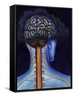 Back of Brain and Spinal Cord with Head in Dark Cloud Indicating Depression-null-Framed Stretched Canvas