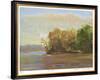 Back Of The Island-Patrick Owen-Limited Edition Framed Print