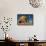 Back on Earth-Mathilde Guillemot-Framed Stretched Canvas displayed on a wall