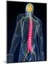 Back Pain, Conceptual Artwork-SCIEPRO-Mounted Photographic Print