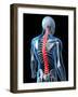 Back Pain, Conceptual Artwork-SCIEPRO-Framed Photographic Print