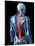 Back Pain, Conceptual Artwork-SCIEPRO-Mounted Photographic Print