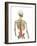 Back Pain, Conceptual Artwork-SCIEPRO-Framed Photographic Print