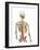 Back Pain, Conceptual Artwork-SCIEPRO-Framed Photographic Print