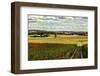 Back Road From Francescas-Colby Chester-Framed Photographic Print