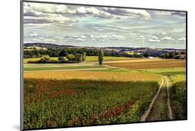 Back Road From Francescas-Colby Chester-Mounted Photographic Print