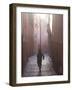 Back Street of Marrakech, Morocco, North Africa, Africa-Ethel Davies-Framed Photographic Print