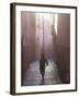 Back Street of Marrakech, Morocco, North Africa, Africa-Ethel Davies-Framed Photographic Print