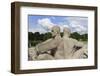 Back to Back, Detail of a Sculptural Group on the Monolith Plateau by Gustav Vigeland, Frogner Park-Eleanor Scriven-Framed Photographic Print