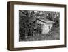Back to Nature-Colby Chester-Framed Photographic Print
